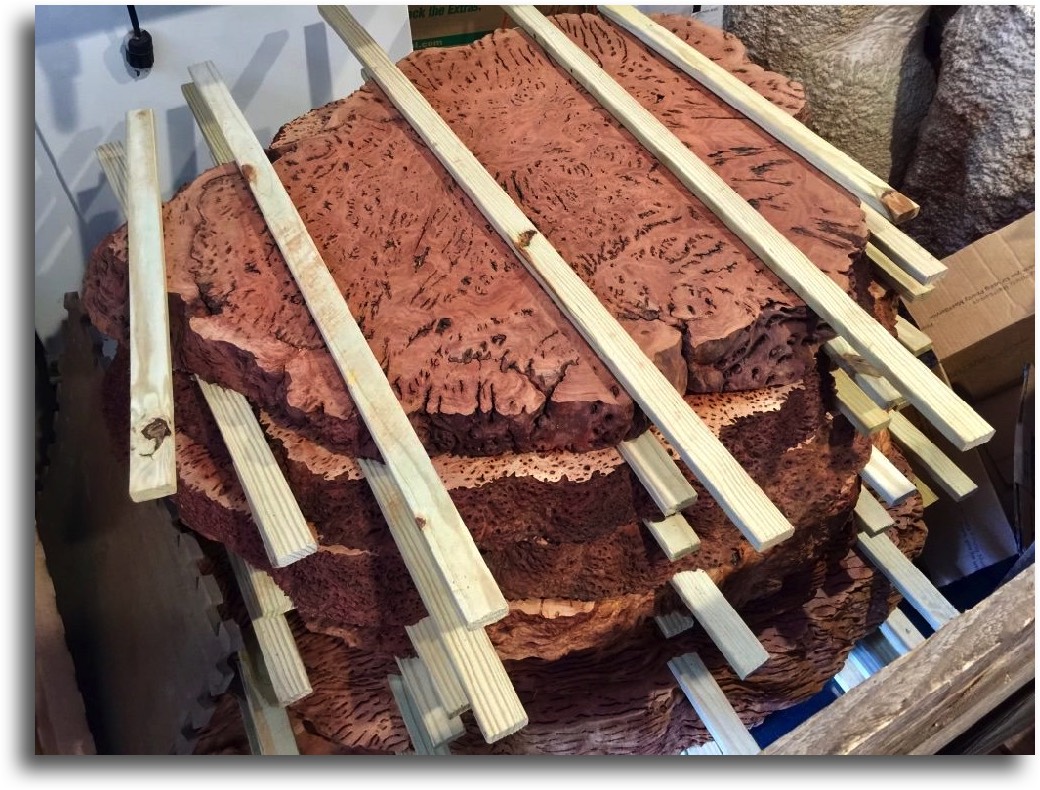 AustralianBurls.com Tips - Burl Handling and Drying ©Jim Syvertsen