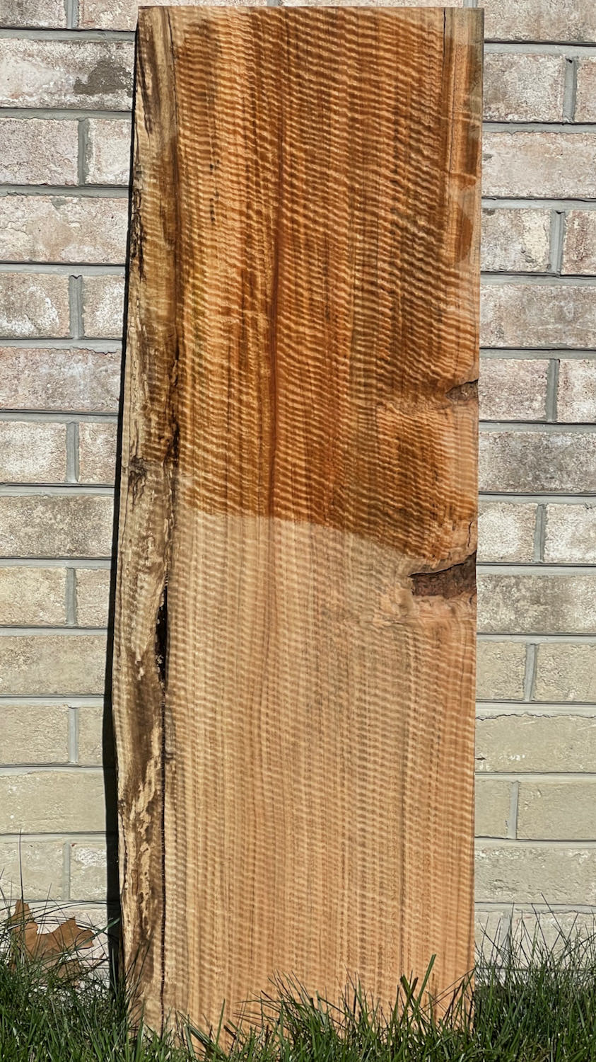 Stacks Image 7439