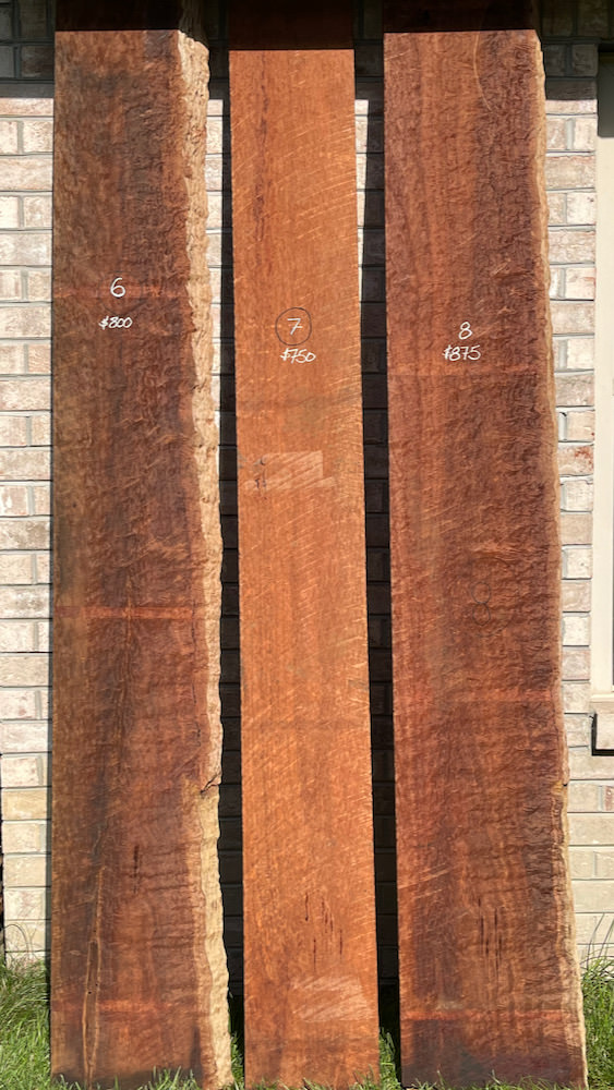 Stacks Image 7254