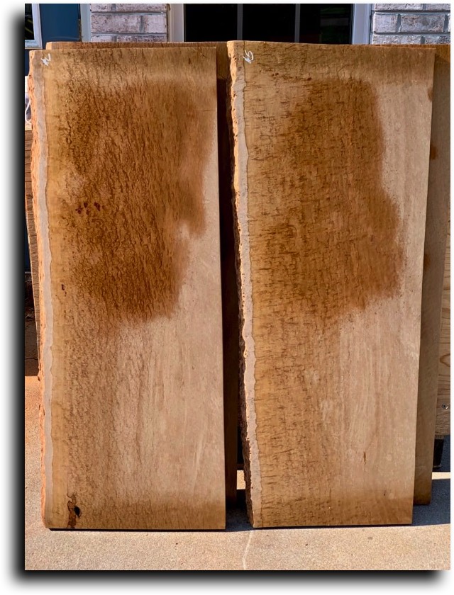 Stacks Image 6450