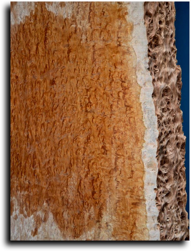 AustralianBurls.com - Aussie Hardwoods (Sugar Gum) © 2018 Jim Syvertsen