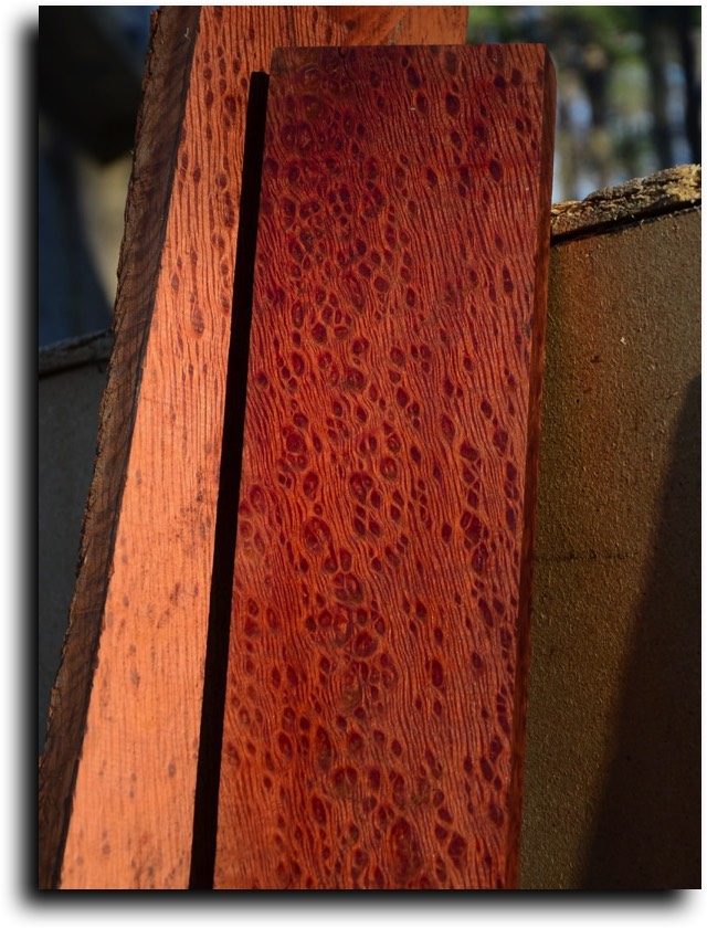 AustralianBurls.com - Aussie Hardwoods (Sheoak) © 2018 Jim Syvertsen
