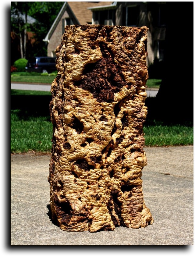 AustralianBurls.com - Aussie Hardwoods (Miscellaneous) © 2018 Jim Syvertsen