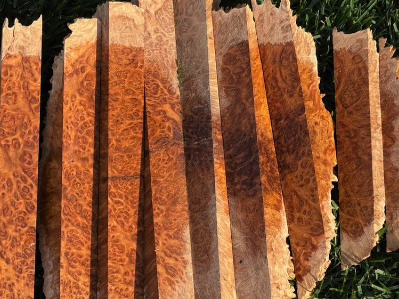 Stacks Image 8257
