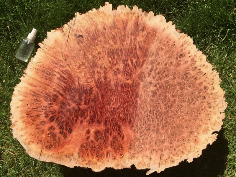 Jarrah Burl - Cut Face