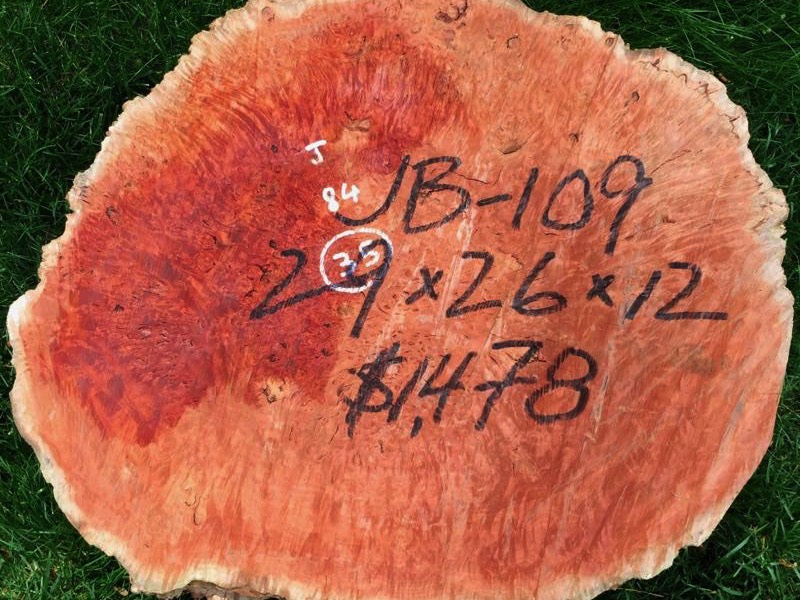 Jarrah Burl - JB109