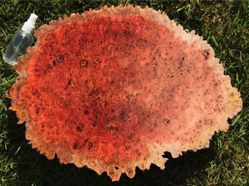 Jarrah Burl - JB129