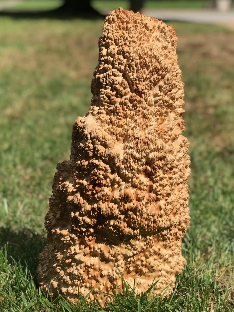 Stacks Image 7549