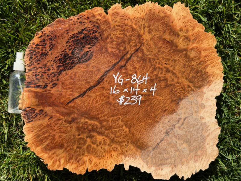 Stacks Image 15835