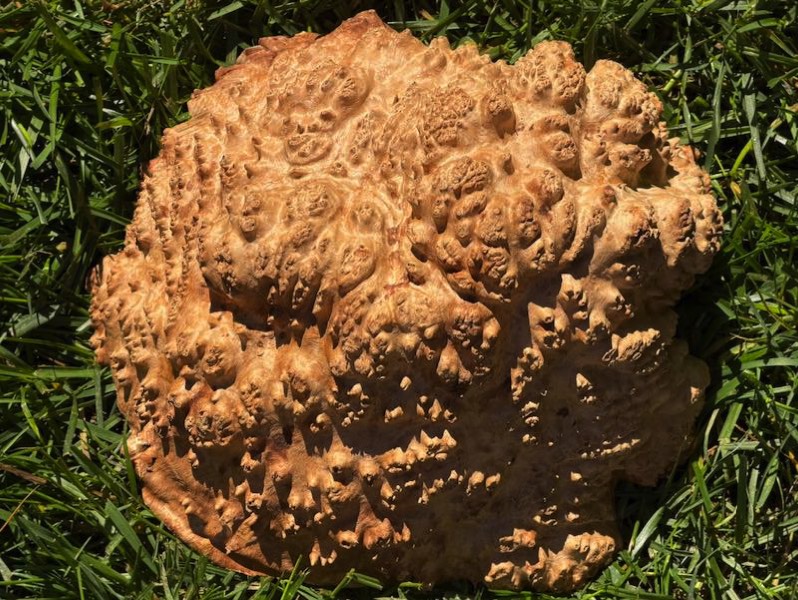 Stacks Image 16009