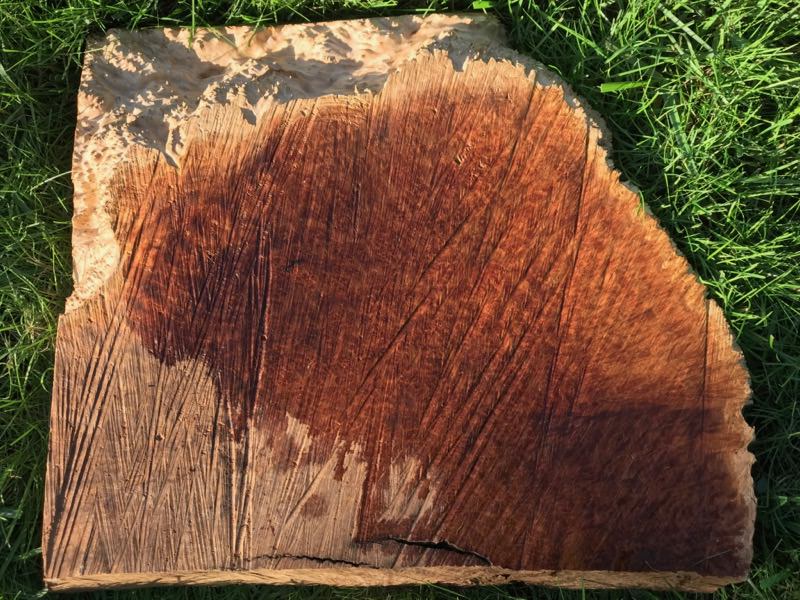AustralianBurls.com - York Gum Burl YG-446R