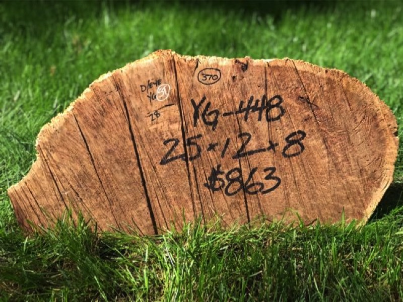 AustralianBurls.com - York Gum Burl YG-448