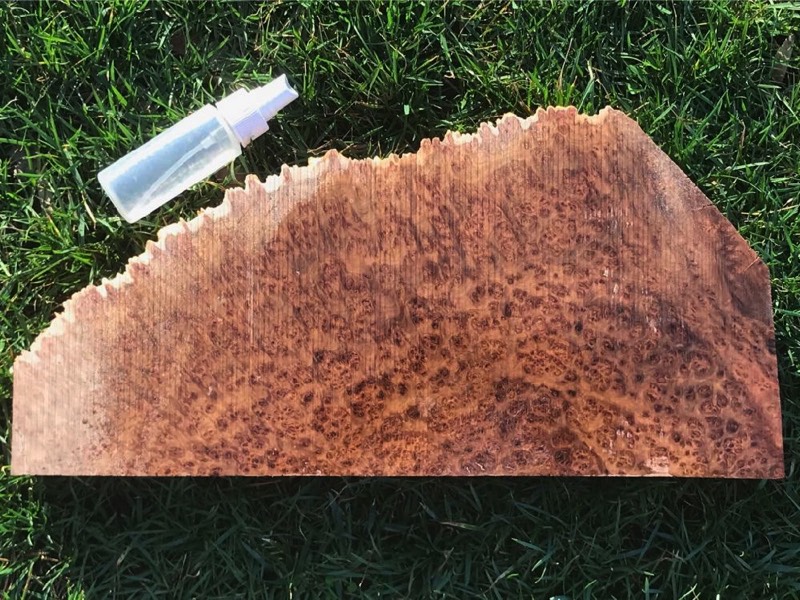 AustralianBurls.com - York Gum Burl YG-449AR