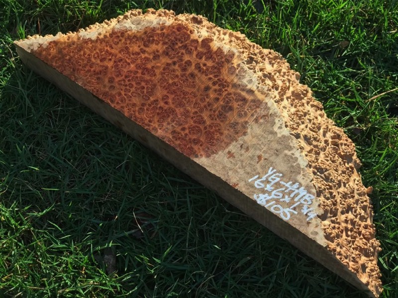 AustralianBurls.com - York Gum Burl YG-449B