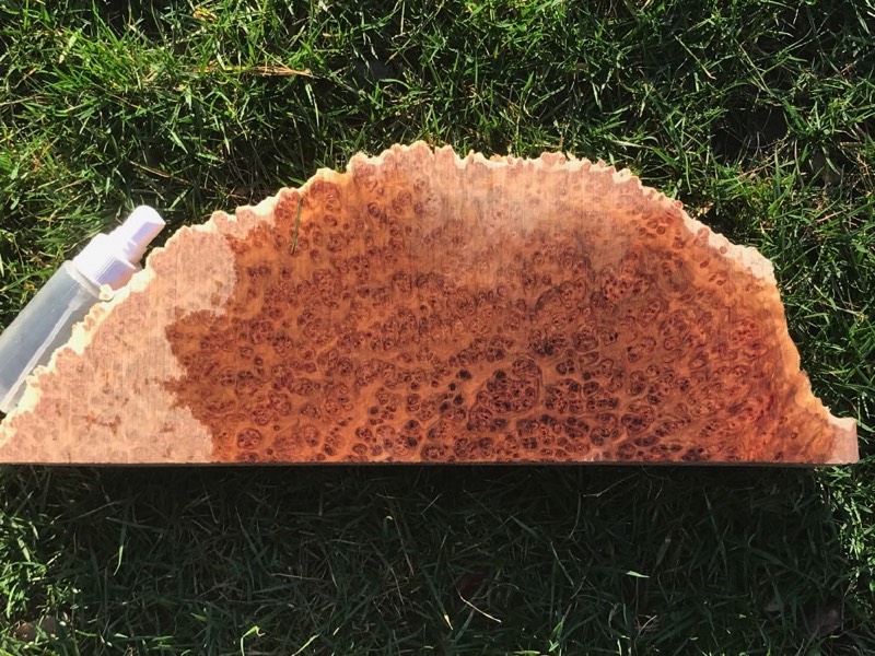 AustralianBurls.com - York Gum Burl YG-449BR