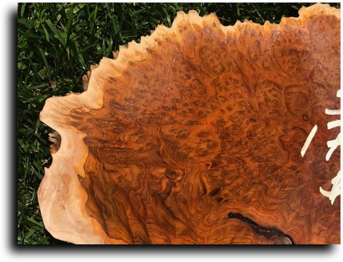 AustralianBurls.com - Burl Caps (Snap & Rattle Burl) © 2018 Jim Syvertsen