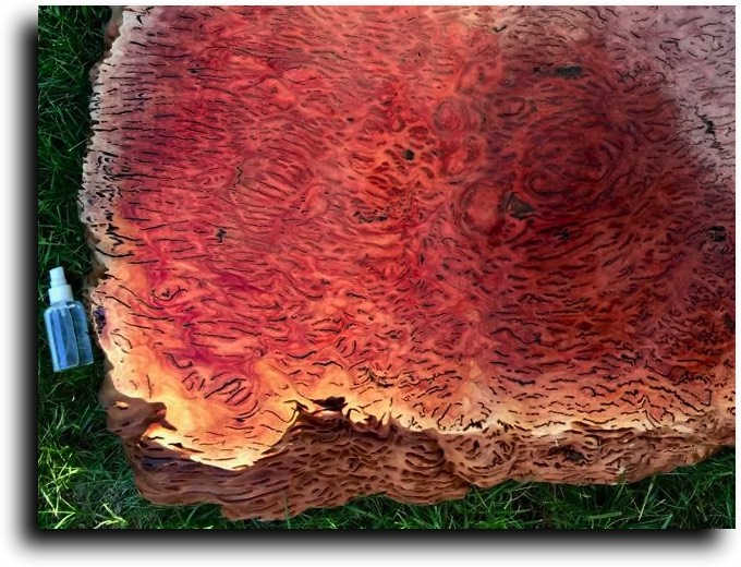 AustralianBurls.com - Burl Caps (Salmon Gum Burl) © 2018 Jim Syvertsen