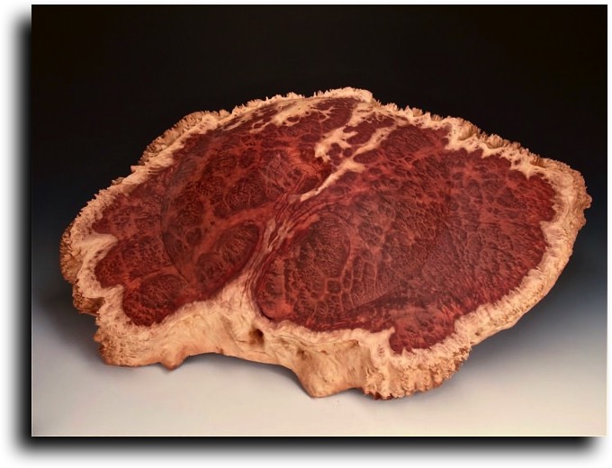 AustralianBurls.com - Burl Caps (Horistes Burl) © 2018 Jim Syvertsen