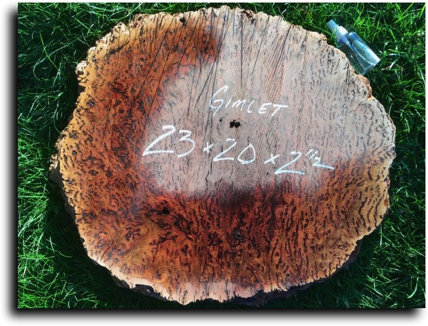 AustralianBurls.com - Burl Caps (Gimlet Burl) © 2018 Jim Syvertsen