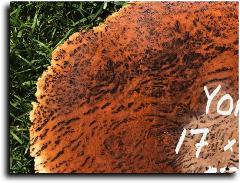 AustralianBurls.com - Burl Caps (Yorrel Burl) © 2018 Jim Syvertsen