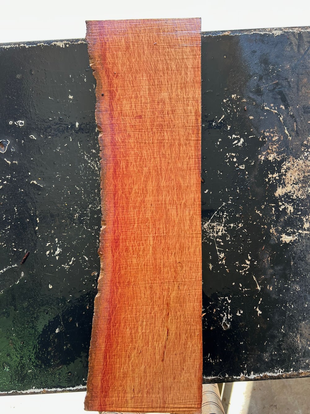 Stacks Image 34068