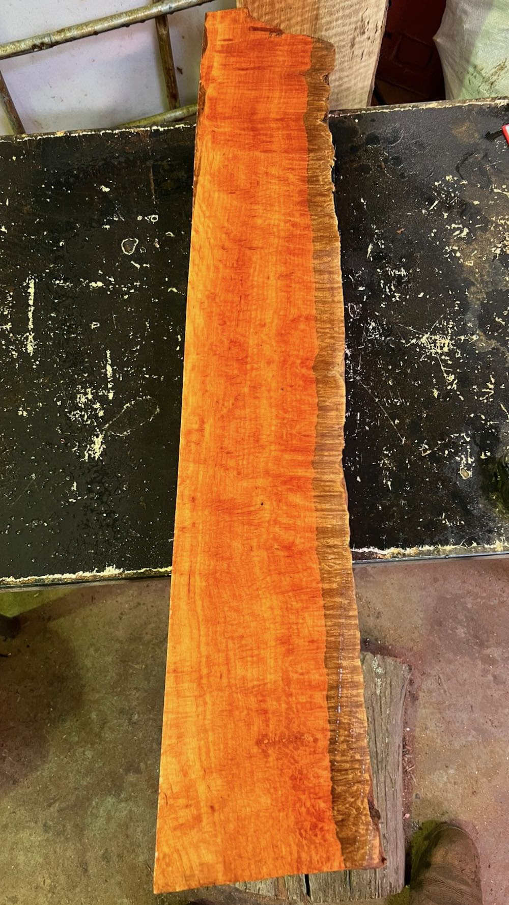 Stacks Image 33631