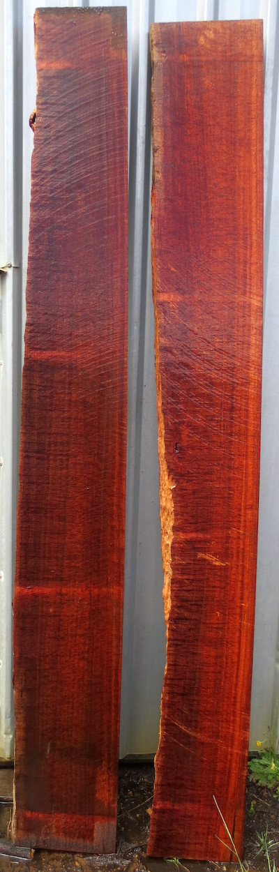 Stacks Image 23371