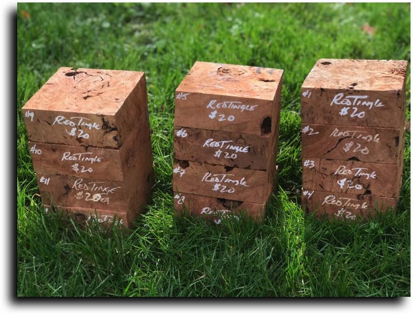 Stacks Image 8288