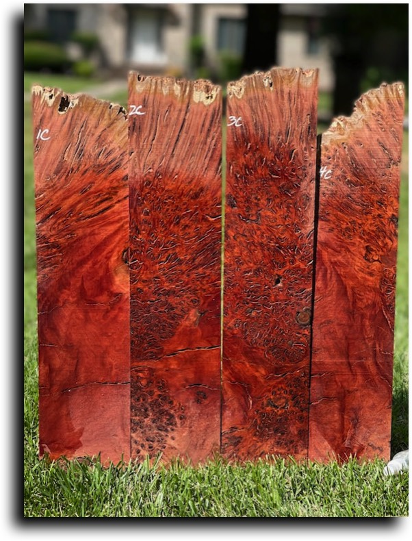 Stacks Image 8150