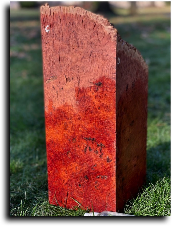 Stacks Image 8400