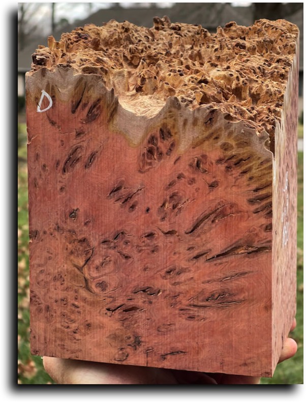 Stacks Image 8522
