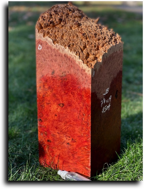 Stacks Image 8403