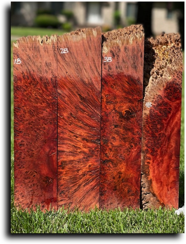Stacks Image 8147