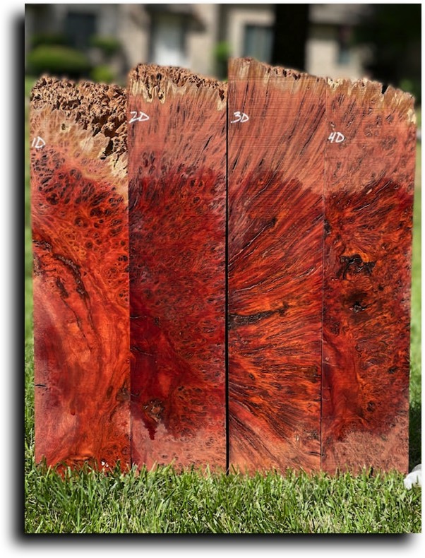 Stacks Image 8153