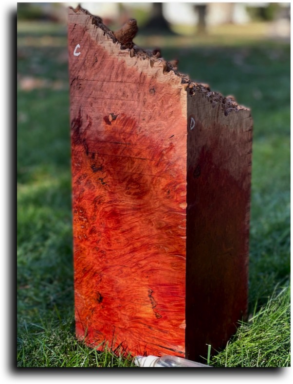 Stacks Image 8372
