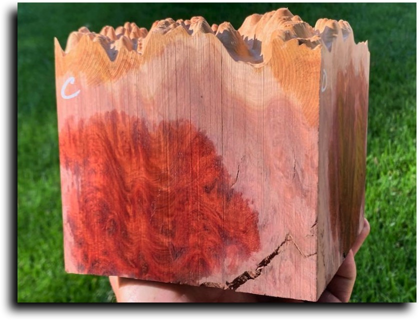 Stacks Image 10067