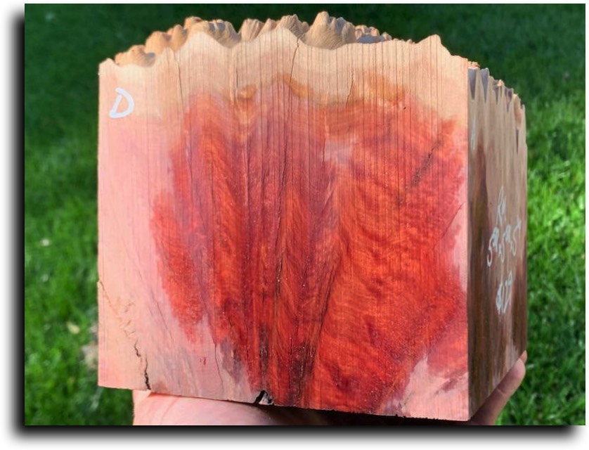 Stacks Image 10070