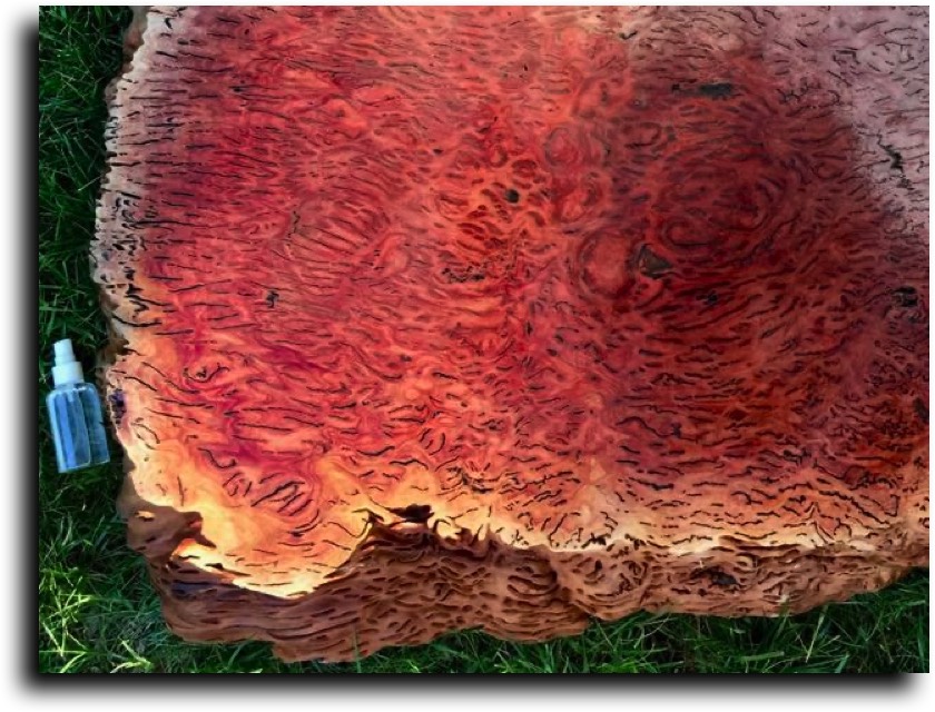 AustralianBurls.com - Cut Blocks (Salmon Gum Burl) © 2018 Jim Syvertsen