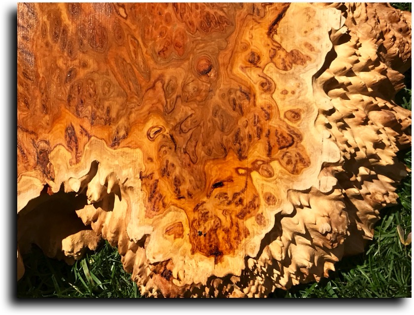 AustralianBurls.com - Cut Blocks (Yellow Box Burl) © 2018 Jim Syvertsen