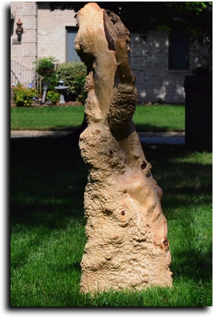 Stacks Image 131