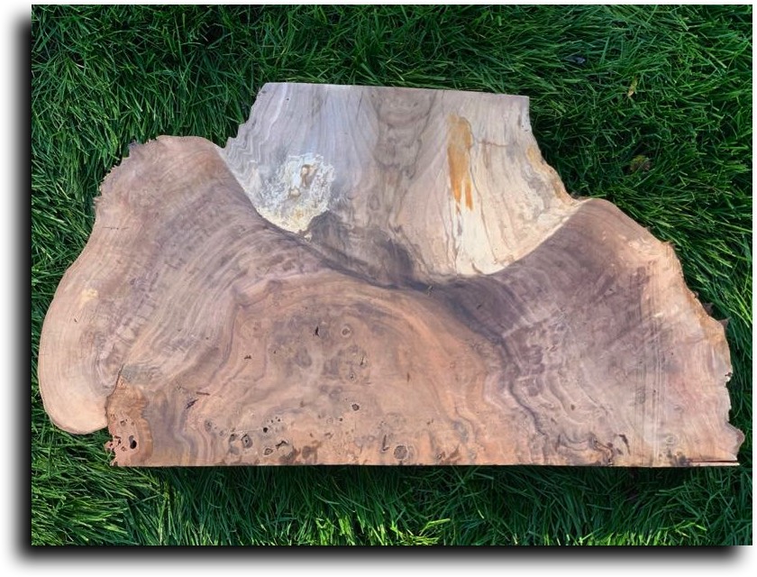 Stacks Image 1954