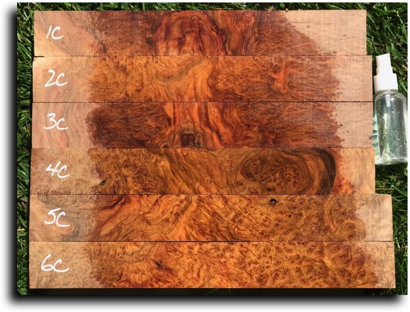 Stacks Image 14072