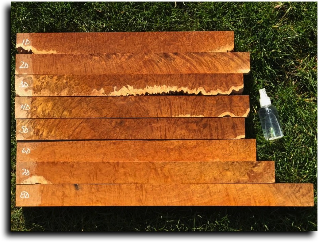 Stacks Image 11410