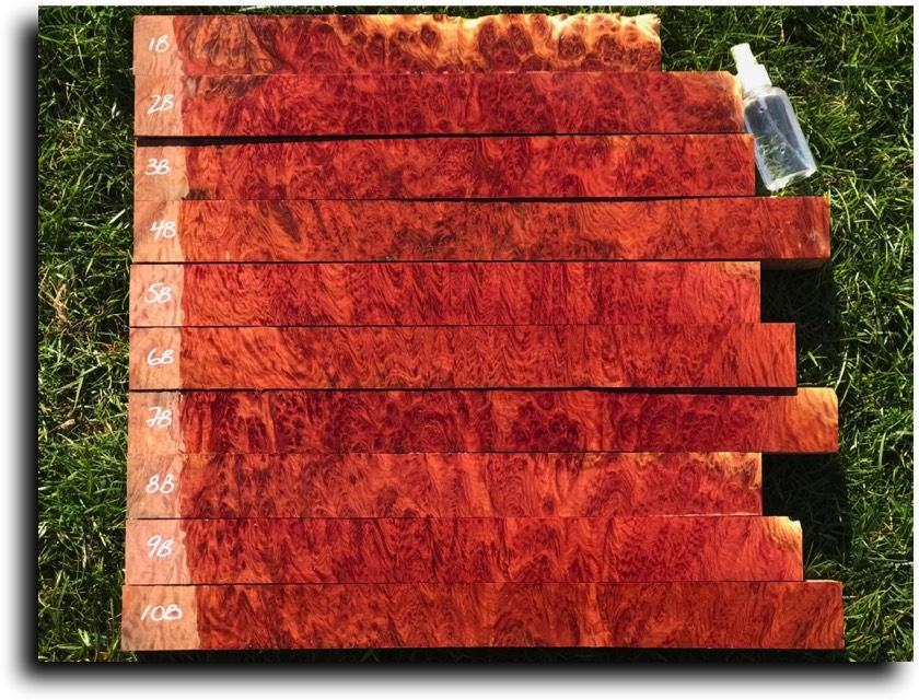 Stacks Image 11659