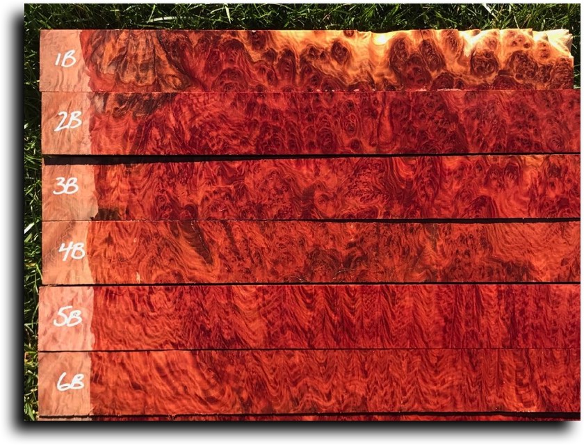Stacks Image 11662