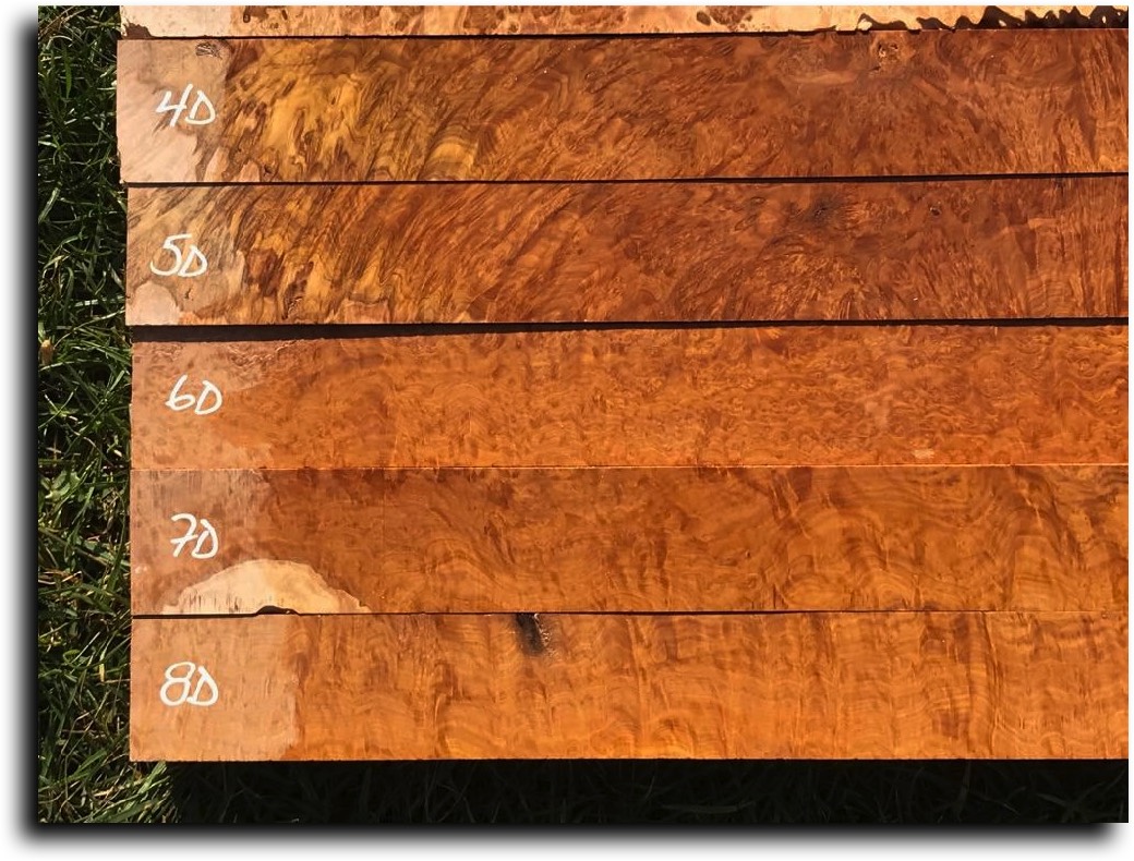 Stacks Image 11419
