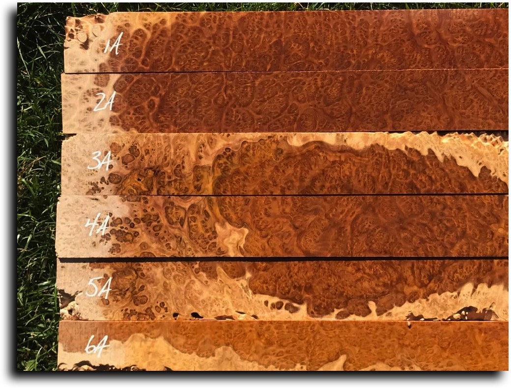 Stacks Image 11376