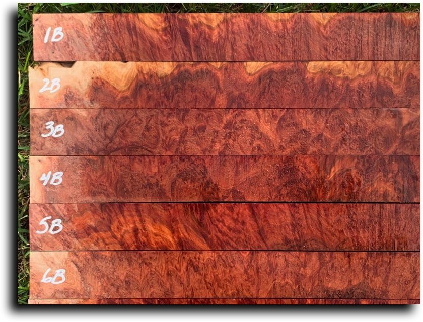 Stacks Image 13280