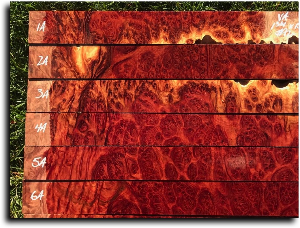 Stacks Image 11635