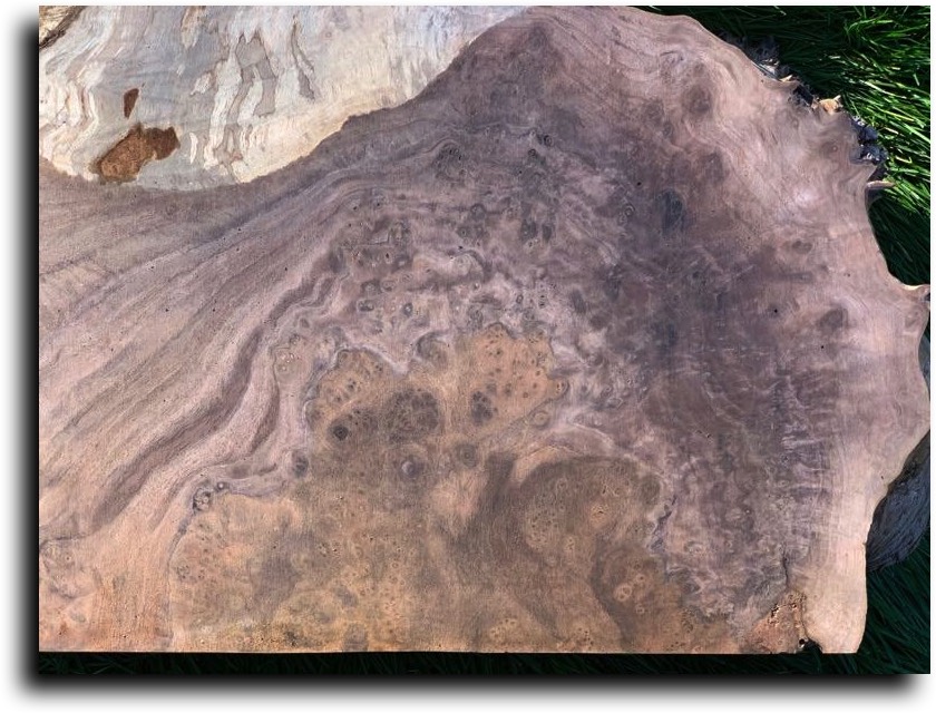 Stacks Image 1895